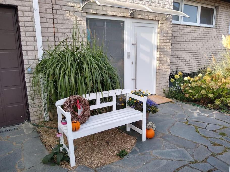 Ferienwohnung Mohnblume Mueddersheim Vettweiss المظهر الخارجي الصورة